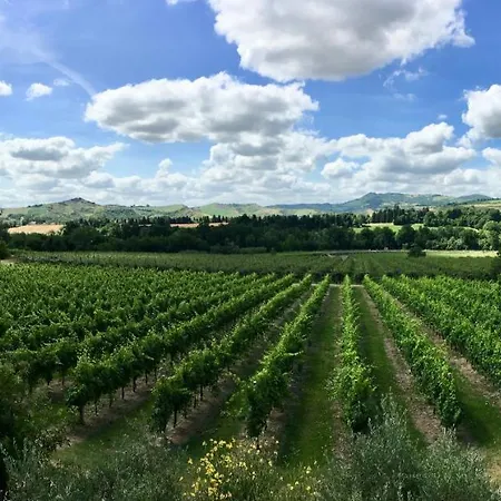 Bed & Breakfast Mongardi, Papavero Per 2 Persone