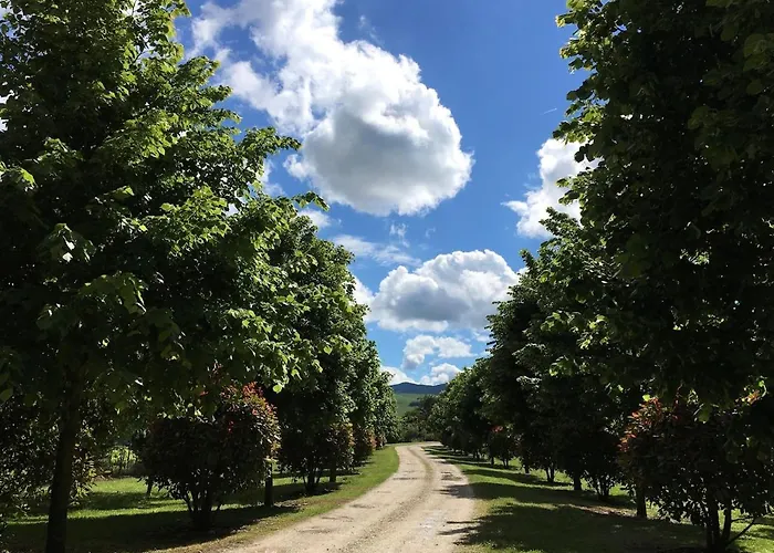 Alojamento de Acomodação e Pequeno-almoço Mongardi, Papavero Per 2 Persone Riolo Terme